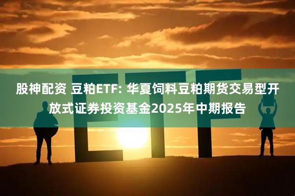 股神配资 豆粕ETF: 华夏饲料豆粕期货交易型开放式证券投资基金2025年中期报告