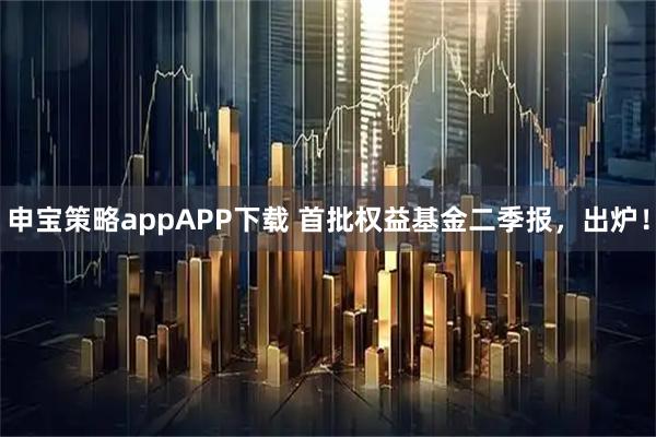 申宝策略appAPP下载 首批权益基金二季报，出炉！